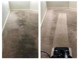 Carpet Cleaning Service With First-Class Service In North Shore